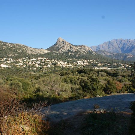Belle Location Sur Lumio Avec Vue Remarquable Et Jardin 빌라 외부 사진
