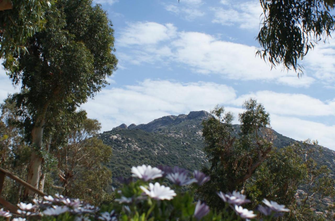 Belle Location Sur Lumio Avec Vue Remarquable Et Jardin 빌라 외부 사진