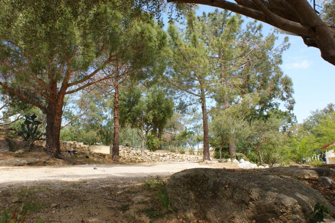 Belle Location Sur Lumio Avec Vue Remarquable Et Jardin 빌라 외부 사진