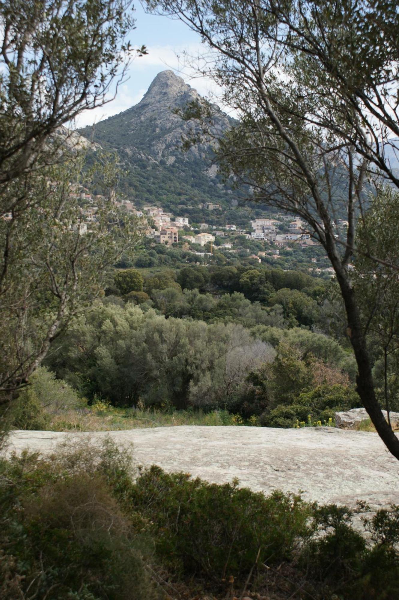 Belle Location Sur Lumio Avec Vue Remarquable Et Jardin 빌라 외부 사진